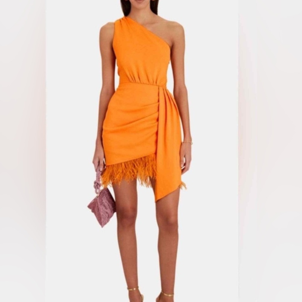 Saylor Audrie Dress Size XS